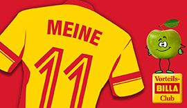 Meine 11