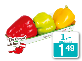 Knackiger Tricolore Paprika