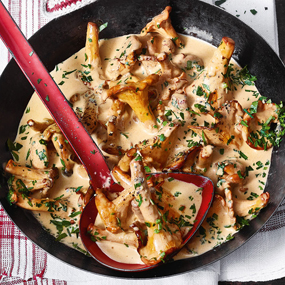 Eierschwammerlgulasch mit Semmelknödel